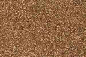 Ковролин AW Invictus Romelus 82 фото  | FLOORDEALER